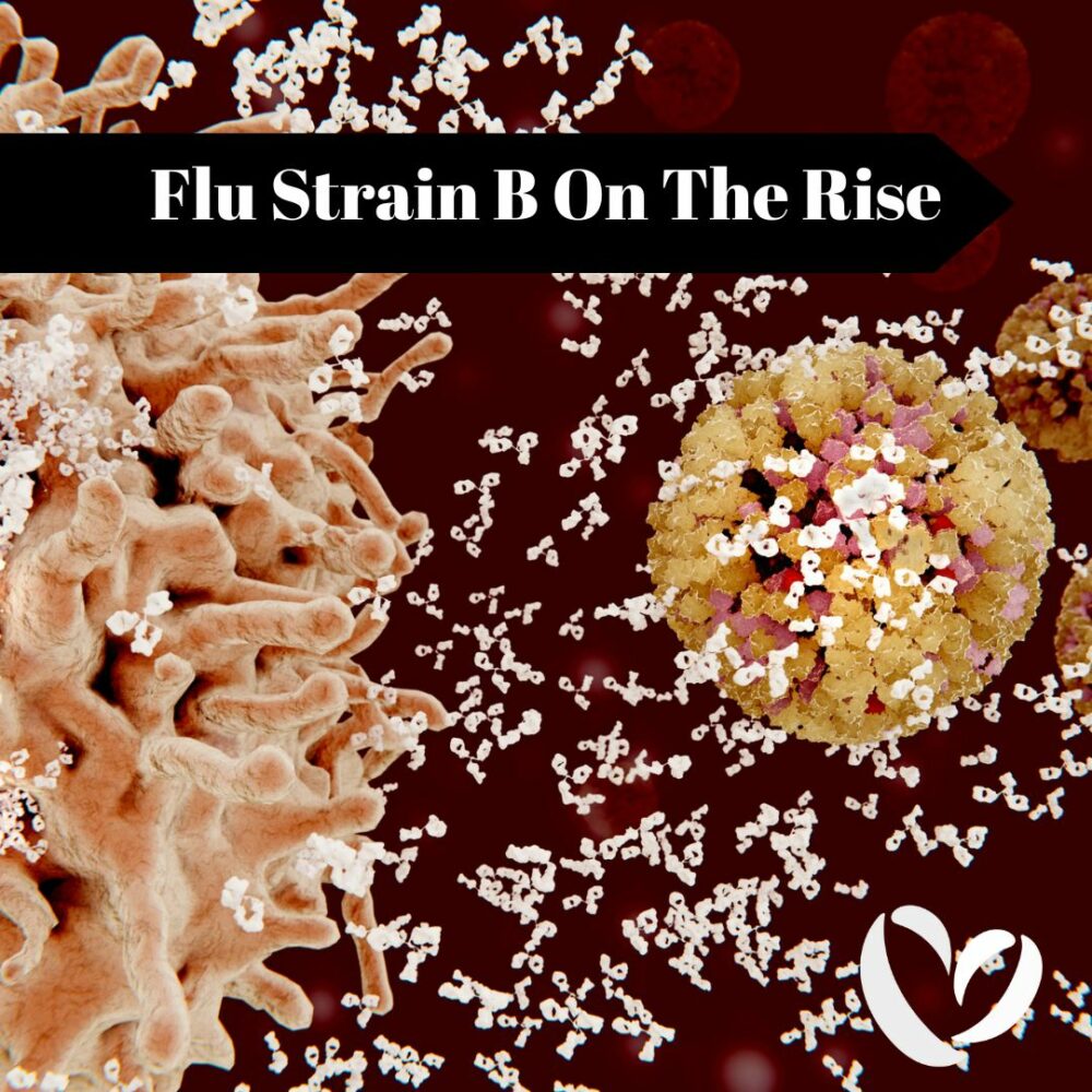 Flu B Strain On The Rise What You Need To Know NasonCare Advanced