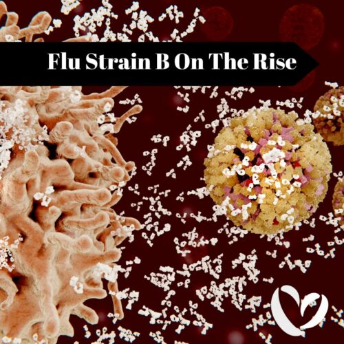 Flu B Strain On The Rise What You Need To Know